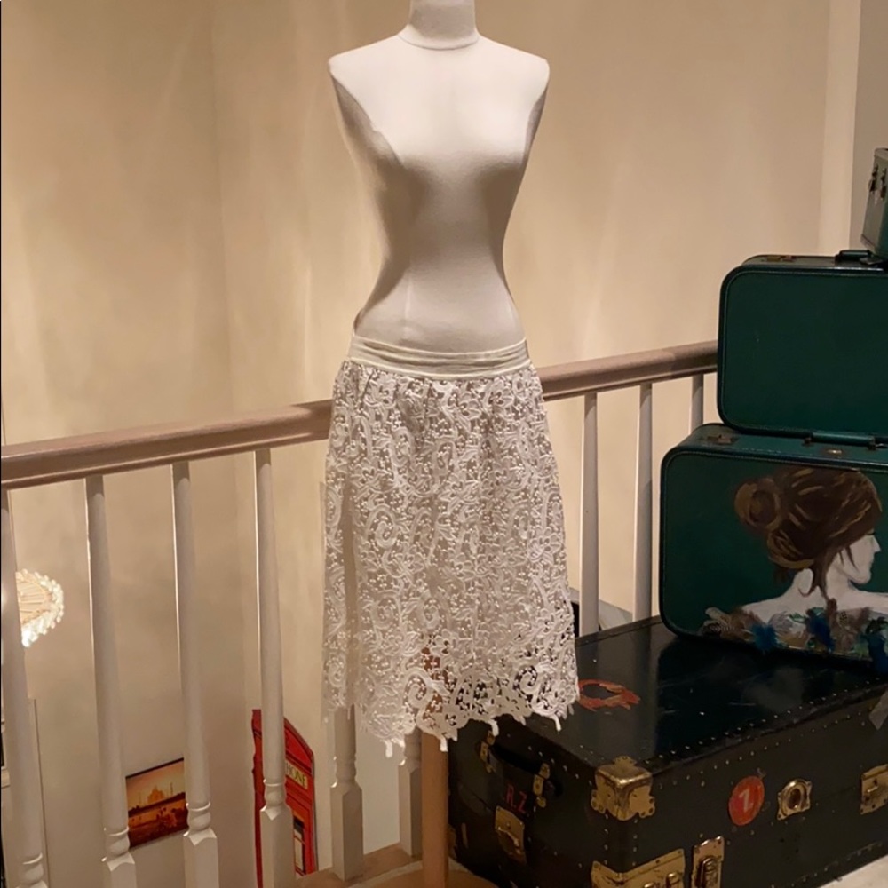 White Lace Skirt - image 1